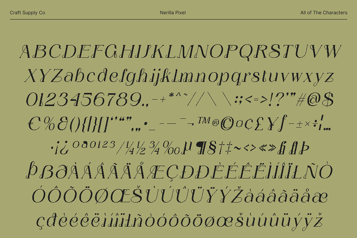 Nerilla Pixel, a Serif Font by Craft Supply Co. (Photo 8 of 8)