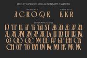 Redcliff Campwood, a Serif Font by din-studio.com (Thumbnail 12 of 16)