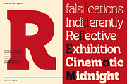 Blink – Bold Slab Serif Typeface, a Slab Serif Font by OV Type (Thumbnail 4 of 10)