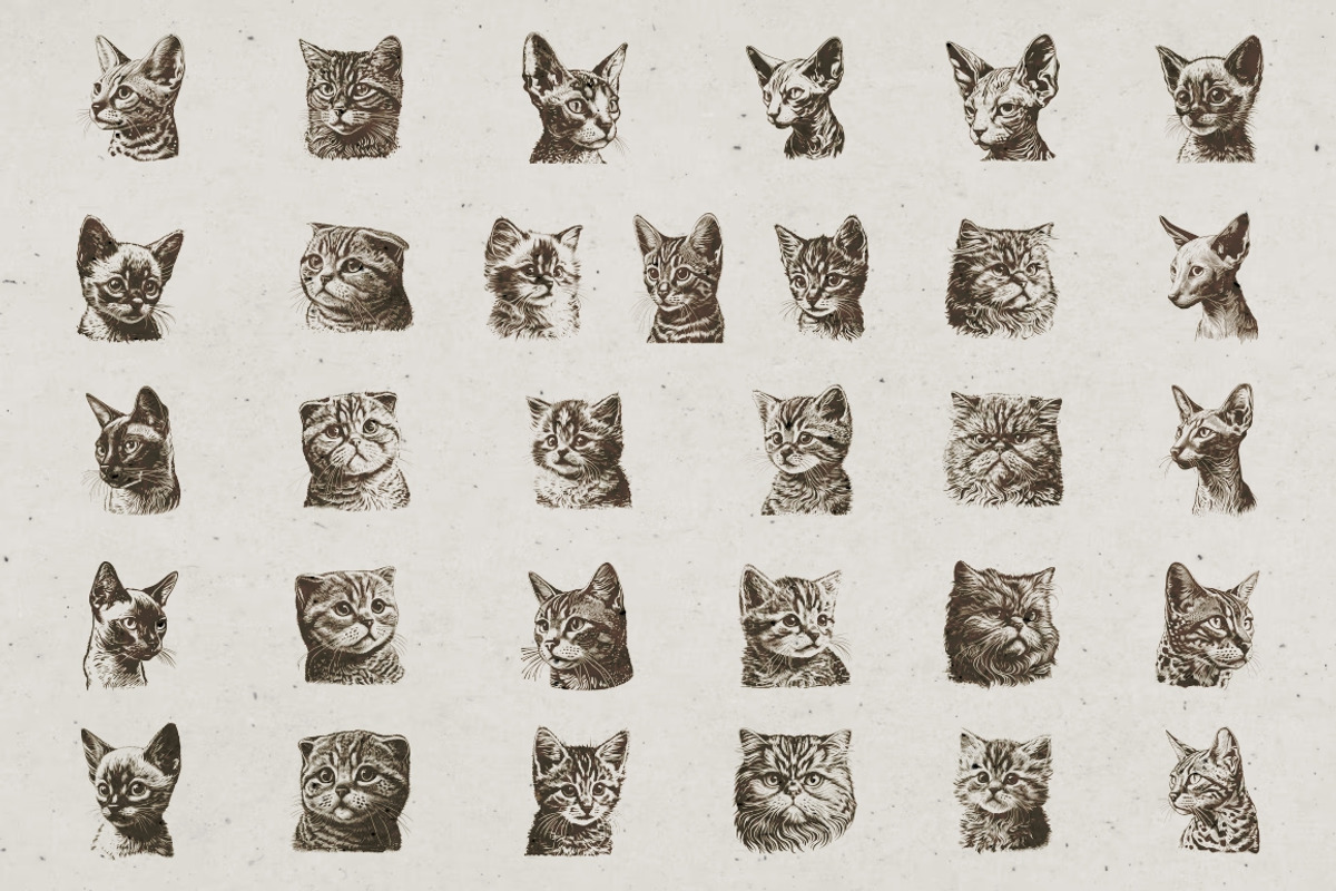 Cat Breeds Portrait Illustrations, an Animal Illustration by Nocturnal Wolf (Photo 3 of 10)