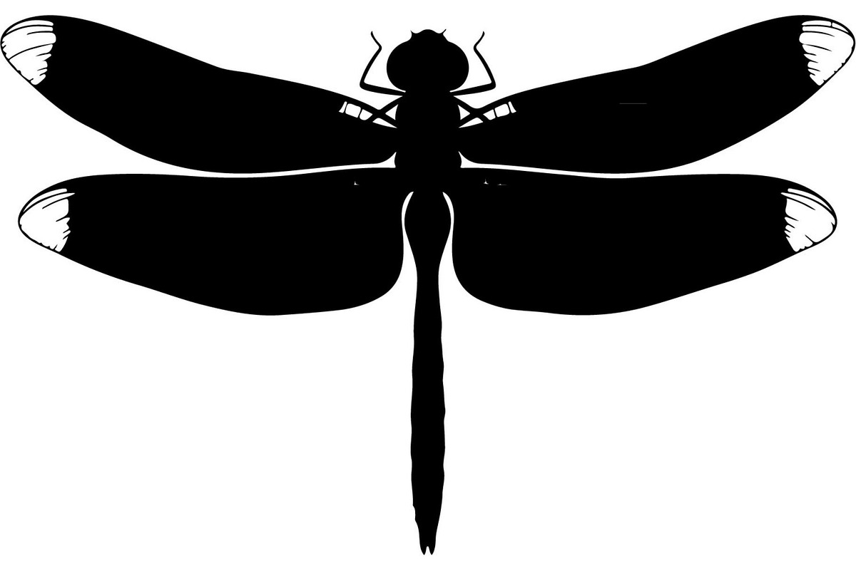 Dragonfly Silhouette, an Object Graphic by Designer_Momina (Photo 16 of 20)