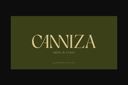 Canniza - Display Serif Font, a Serif Font by Prominent & Affluent