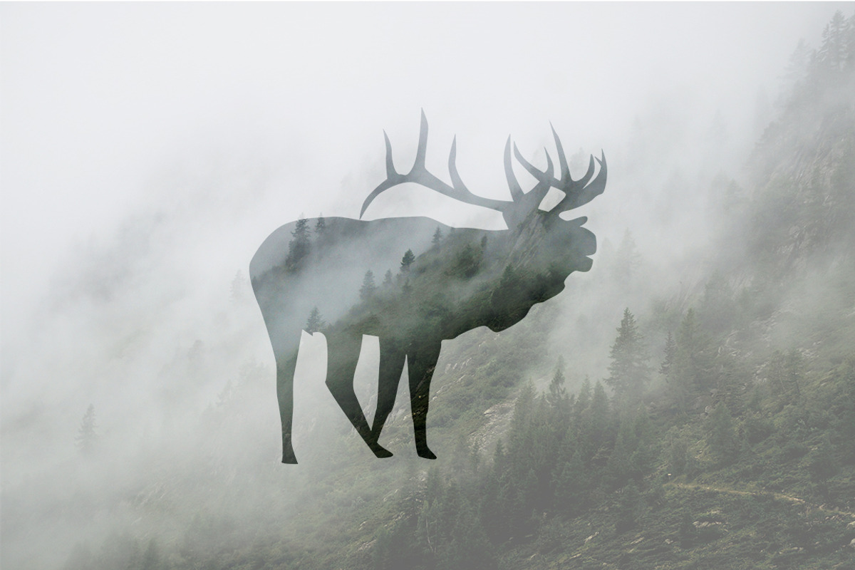 Wild Animals of North America, an Icon by Calvin Weibel (Photo 5 of 6)