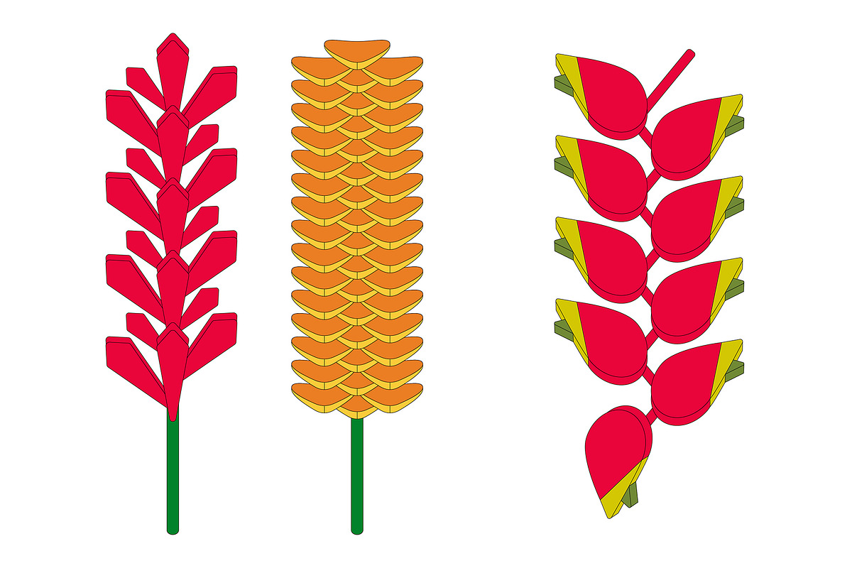 REASSEMBLED FLORA, a Decorative Illustration by HaiHoa (Photo 2 of 7)