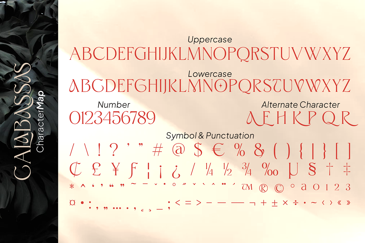 Calabassas Fresh Modern Serif, a Serif Font by Vampstudio (Photo 12 of 13)
