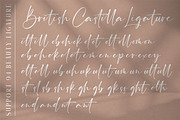 British Castilla - Luxury Font Duo, a Script Font by ErgibiStudio (Thumbnail 8 of 12)