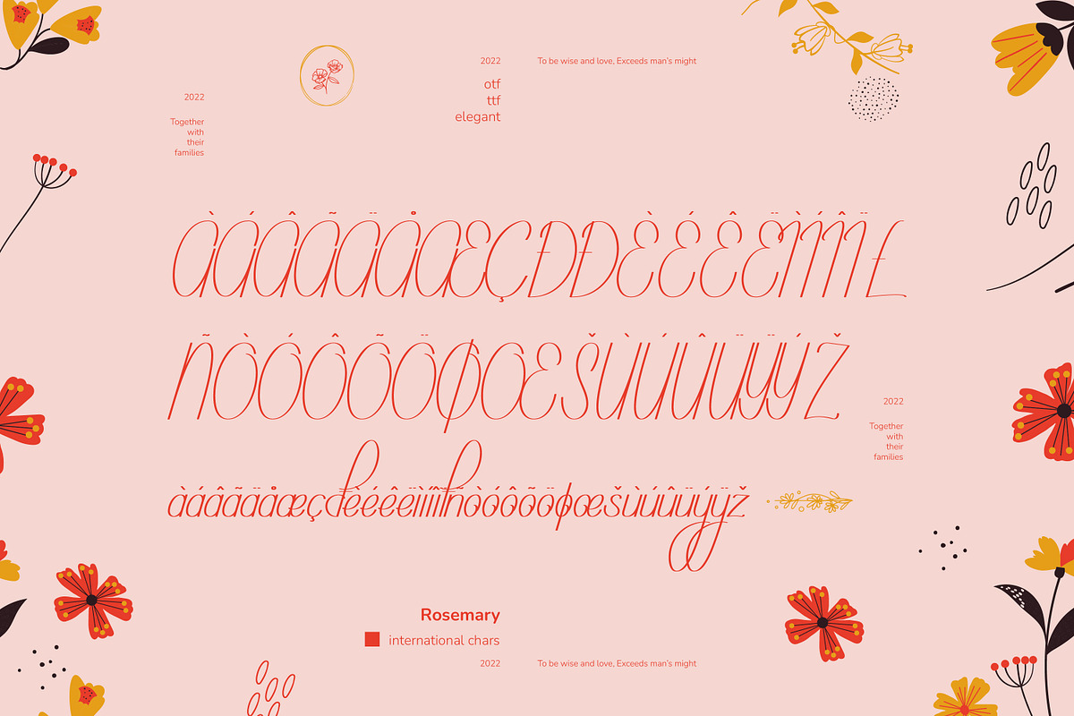 Rosemary Handwritten Font, a Script Font by infernostudio3