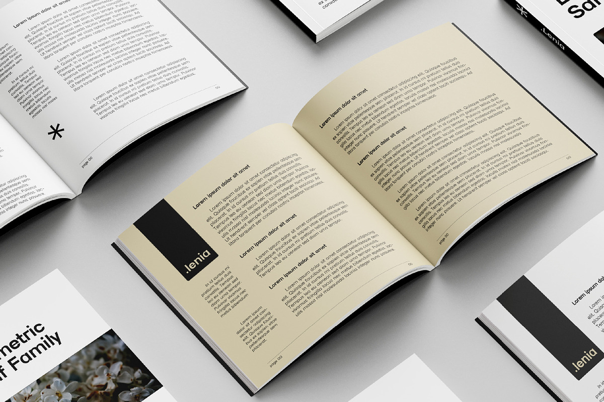 Lenia Sans Family | Intro 75% OFF, a Sans Serif Font by Lettertype Studio (Photo 4 of 15)