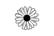 Daisy Flower Line Art Vector Bundle0, an Illustration by jahid234 (Thumbnail 14 of 51)