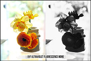 Infrared & Ultraviolet Monochrome v3, a Plug-in Add-On by Raztrend (Thumbnail 22 of 30)