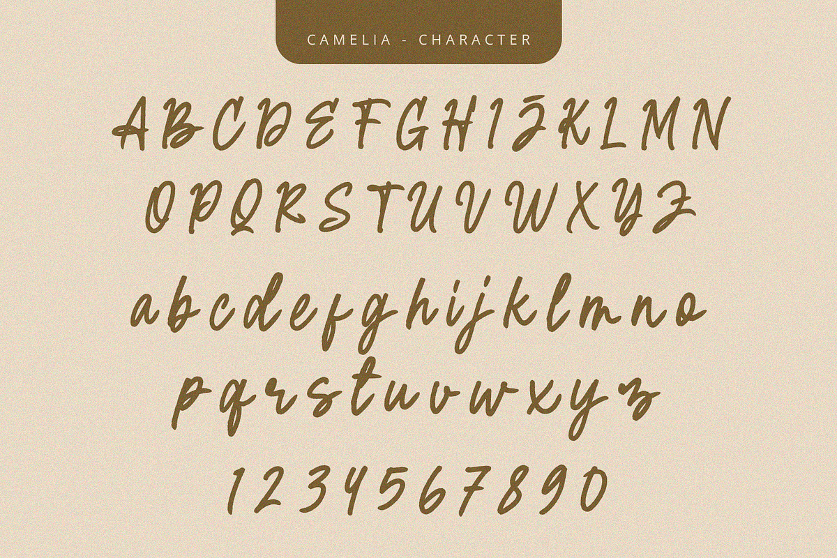Camelia - Script Font, a Script Font by Alpaprana (Photo 7 of 9)