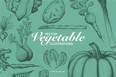 Hand-Drawn Vegetable Illustrations