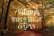 Vanilla Cream, a Script Font by Larin Type Co. (Thumbnail 6 of 10)
