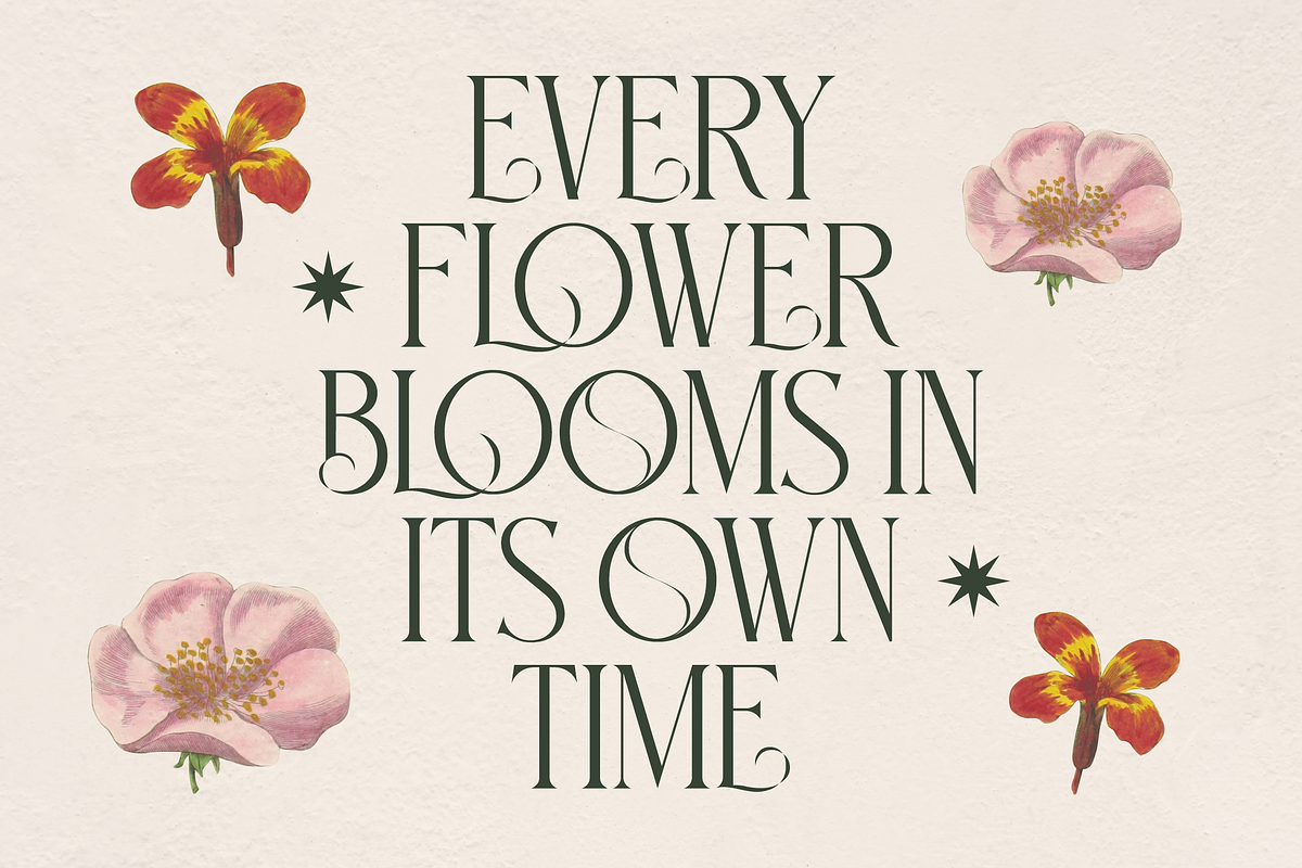 Glorious Serif Display Font, a Sans Serif Font by Storytype Studio (Photo 12 of 15)
