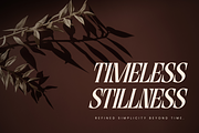 Astella Luxury - Branding Logo Font, a Serif Font by Nirmana Visual (Thumbnail 14 of 16)