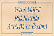 Acelon Stamp, a Serif Font by Craft Supply Co. (Thumbnail 6 of 8)