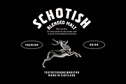 Champagne Toast – Display Serif, a Serif Font by Fikryal Studio (Thumbnail 2 of 9)