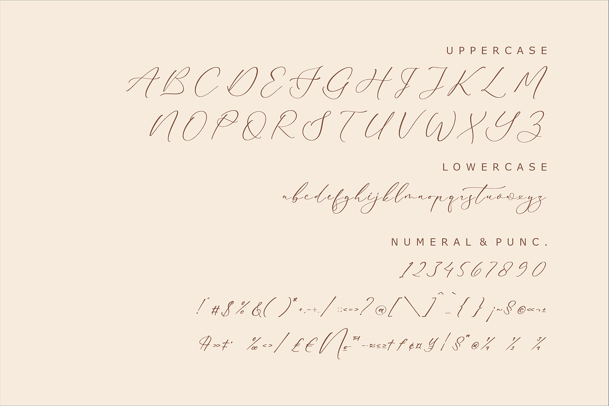 Bidalari Hearter A Beautiful Script, a Script Font by Storytype Studio (Photo 12 of 14)