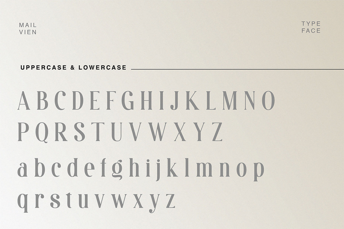 Mailvien - Modern Ligature Typeface, a Serif Font by BrandSemut (Photo 7 of 10)