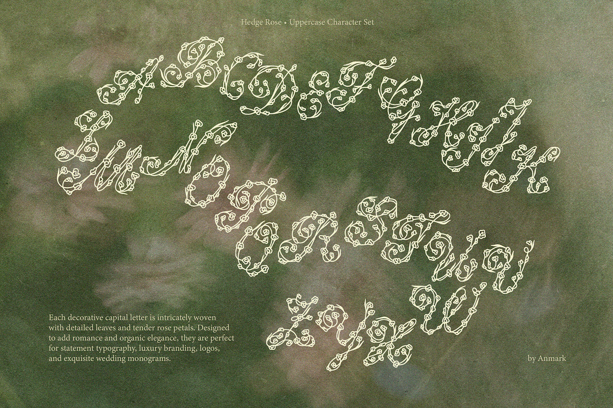 Hedge Rose Decorative Floral Script, a Script Font by AnMark (Photo 6 of 10)