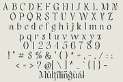 Jelvion – Serif Font, a Serif Font by NDNL Studio (Thumbnail 10 of 12)