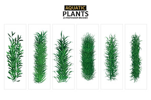 Aquatic Plants Brushes