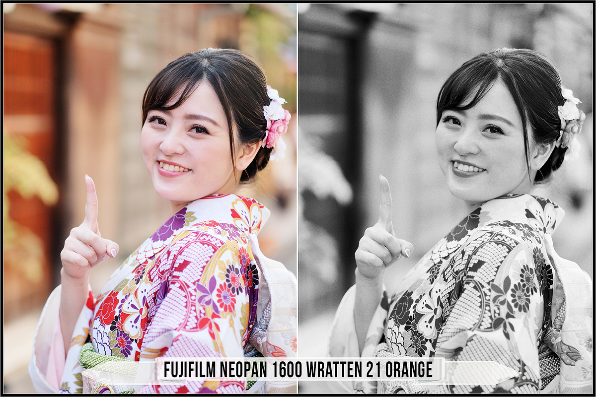 Fujifilm Black and White Film LUTs, a Plug-in Add-On by Raztrend (Photo 6 of 30)