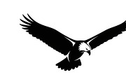 Powerful eagle flying wall art desig, an Illustration by Amazin_art (Thumbnail 19 of 31)