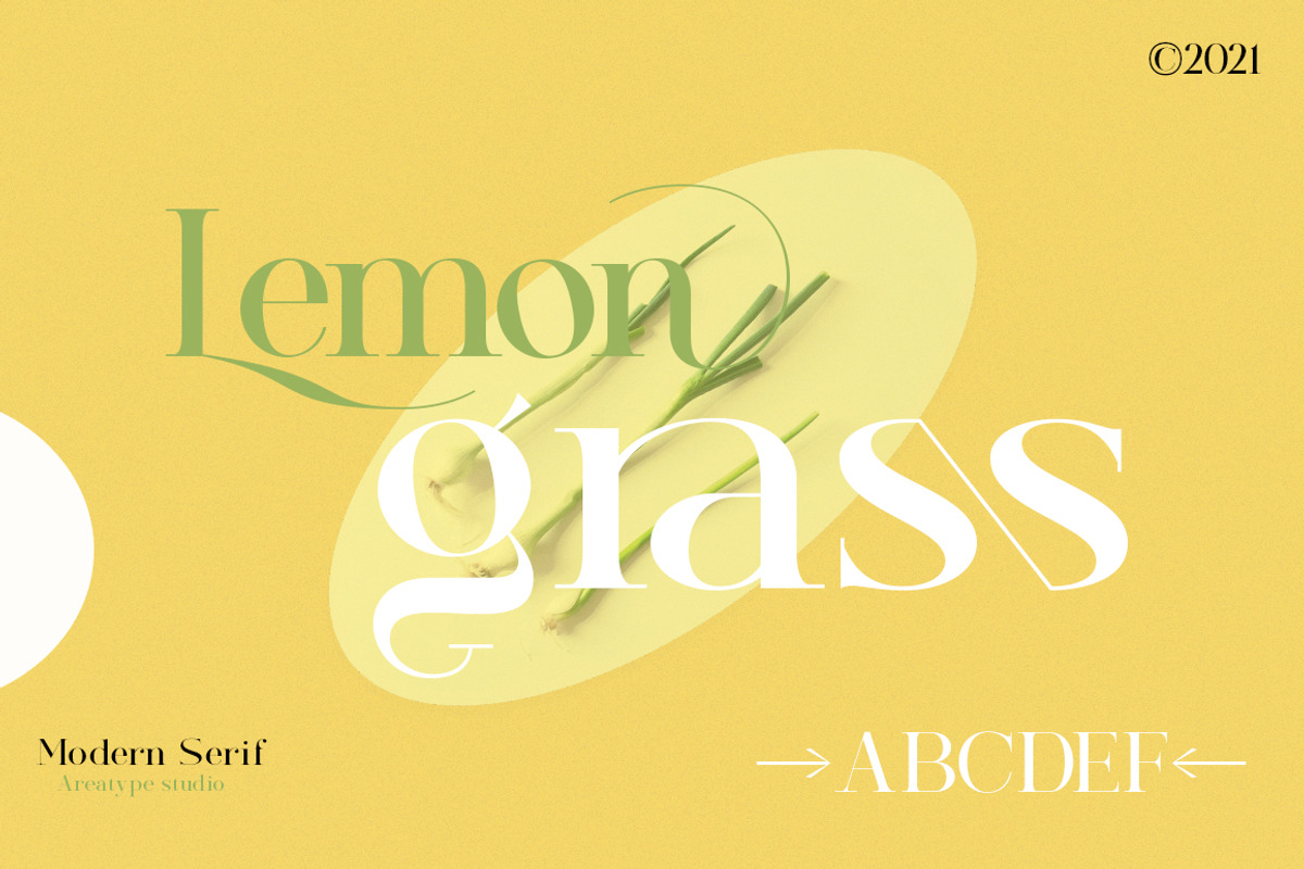 Morissa | Elegant serif, a Serif Font by Areatype (Photo 2 of 21)