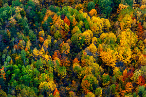 Save the earth stock photo containing woods and fall colors
