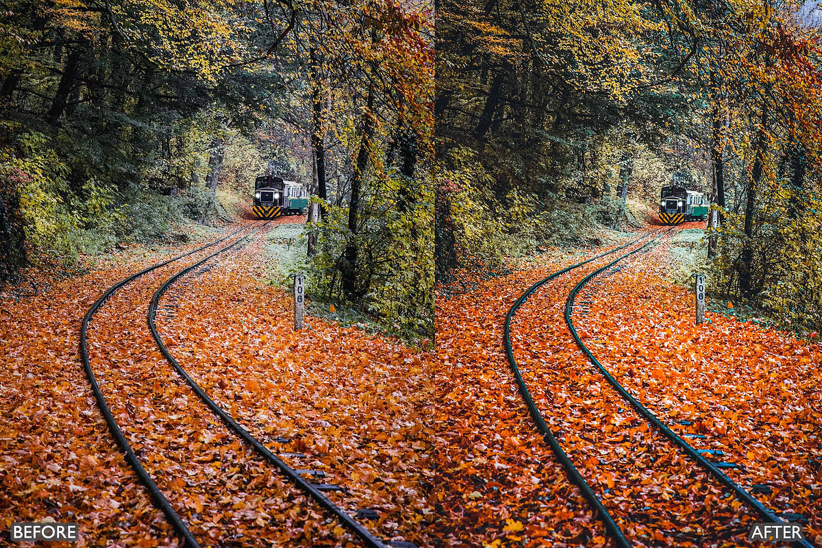 FALL PRESETS for Autumn Photos, a Preset Add-On by AAA Presets (Photo 22 of 22)