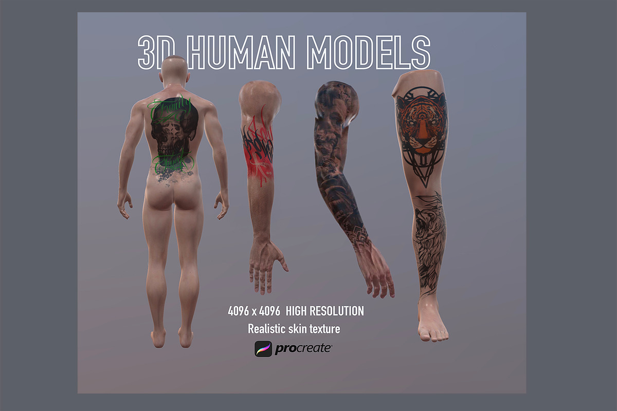 3d Male Human Parts For Procreate, a Characters & Person 3D Model by Torus1 (Photo 1 of 4)