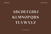 Funtonalie Elegant Serif Font, a Serif Font by UICreative (Thumbnail 11 of 13)