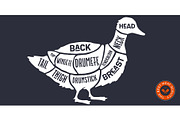 Duck, poultry, hand-drawn, a Food Illustration by Foxys Graphic (Thumbnail 2 of 3)