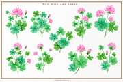 Watercolor Lucky Clover Clipart, a Decorative Illustration by Blumensdiary (Thumbnail 4 of 7)
