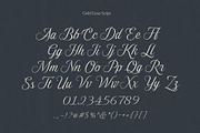 Gold Lines; Elegant Font Duo, a Script Font by Eko Bimantara (Thumbnail 19 of 20)