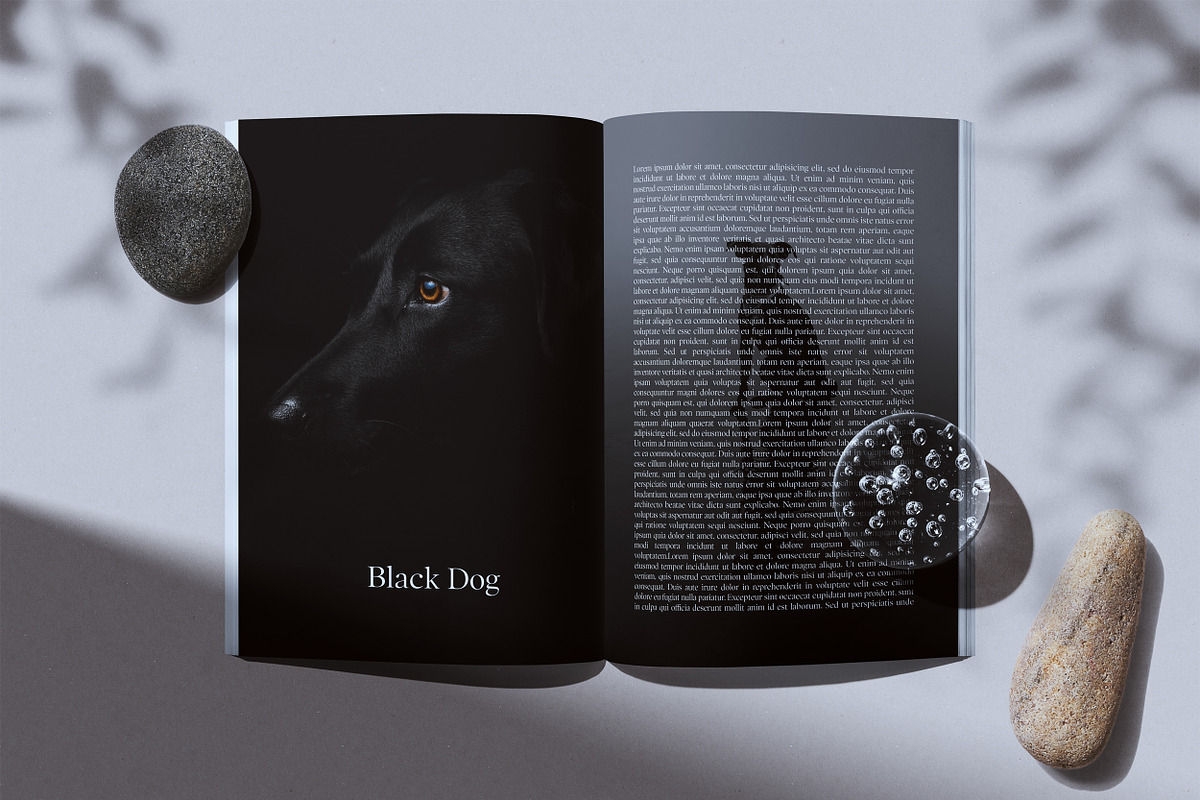 A4 Magazine Mockup Kit, a Print Template by Mint Actions (Photo 5 of 10)