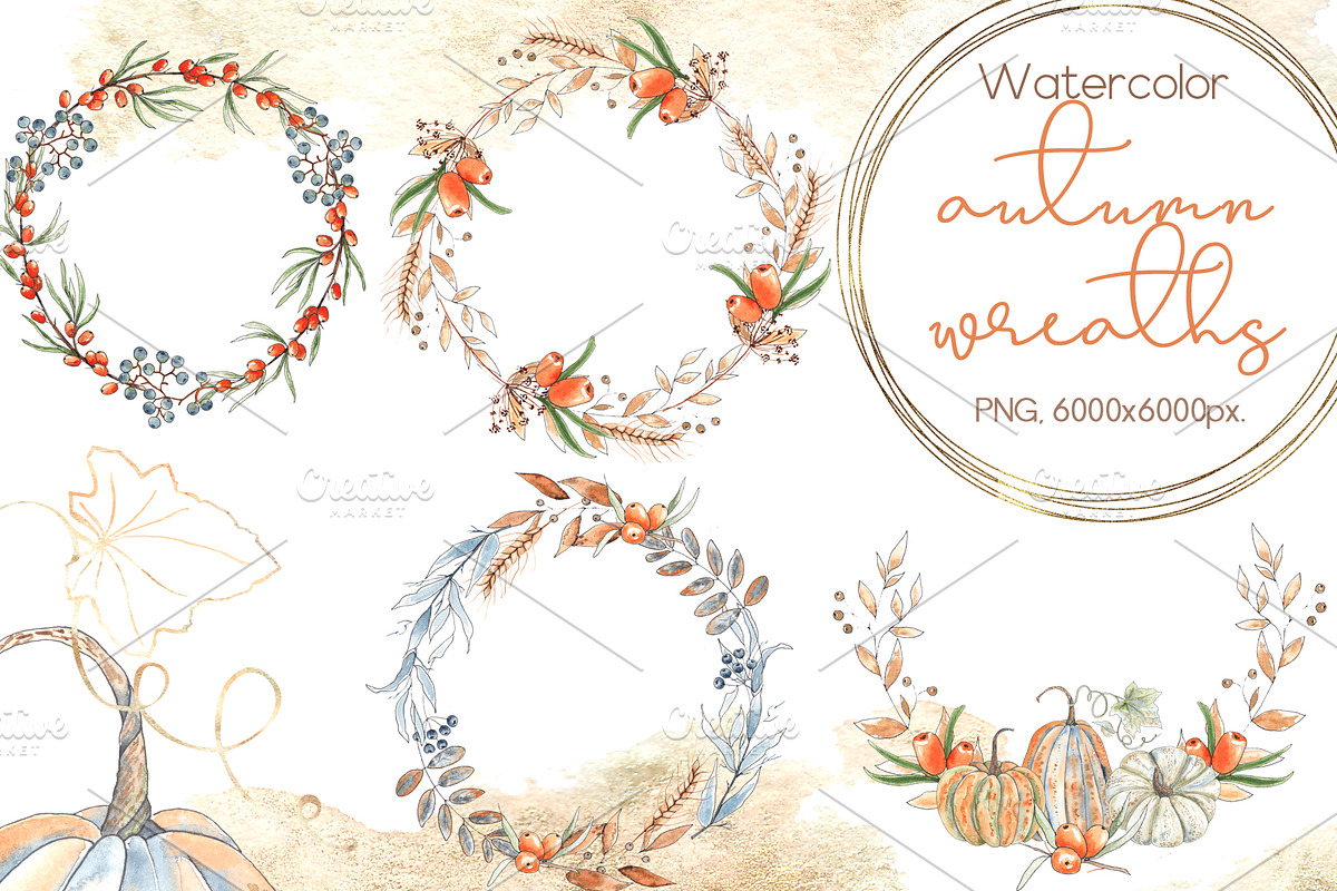 Pumpkins. Watercolor collection, an Object Graphic by Ana-Sakuta (Photo 4 of 17)