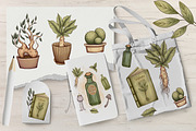 Herbal Magic clipart set, an Illustration by Mrs.Swan_Design (Thumbnail 4 of 7)
