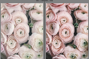 Cinematic Wedding Lightroom Presets