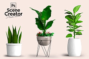 60 PSD Beautiful isolated plants, a Household Mockup by JAZZ STUDIO (Thumbnail 3 of 7)