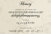 Mellowdy | A Calligraphy Script Font, a Script Font by Analogous (Thumbnail 8 of 11)