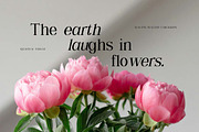 Shailey Morgance Elegant Serif Font, a Serif Font by UICreative (Thumbnail 2 of 13)