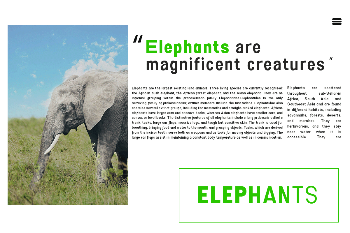 Esenka, a Sans Serif Font by Differentialtype (Photo 4 of 12)