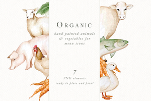Watercolor Menu Graphics