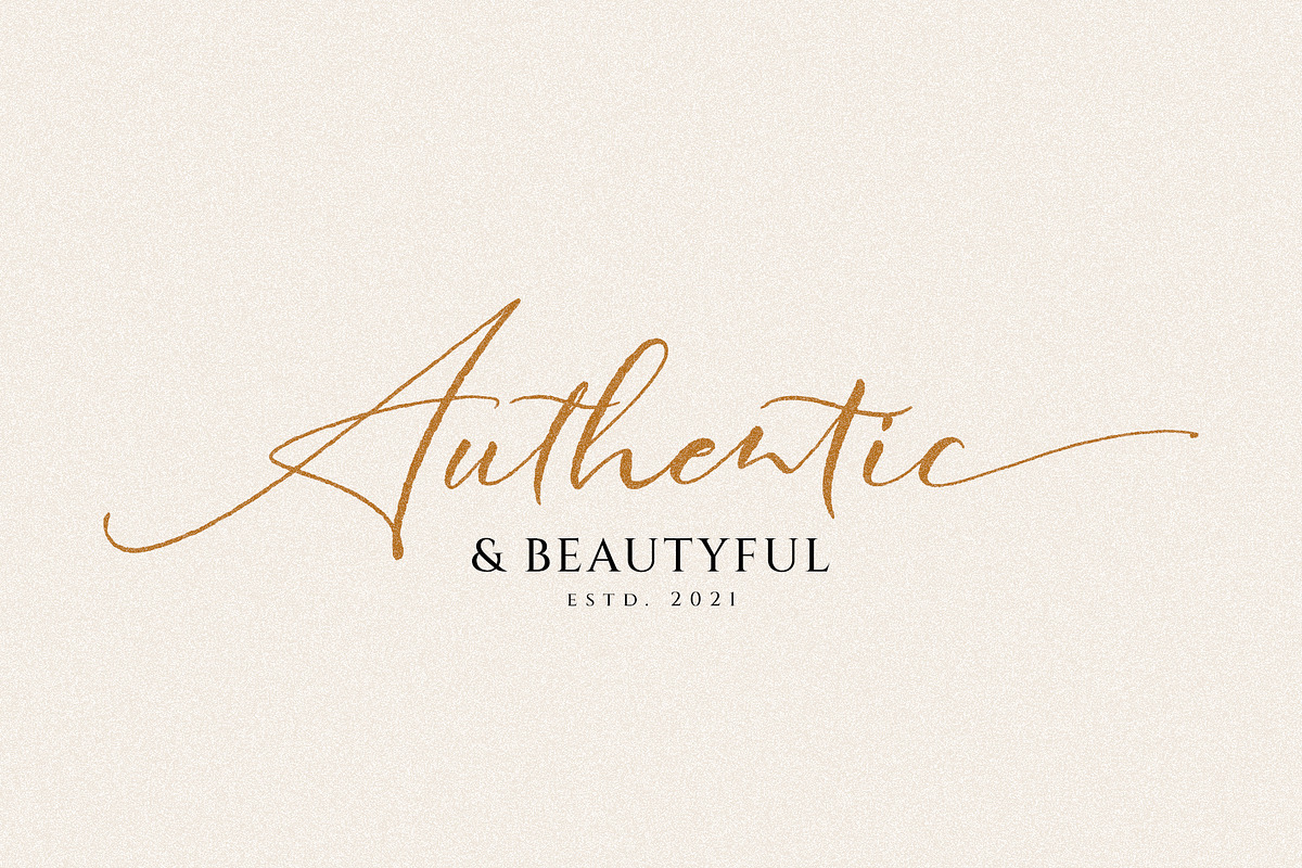 Written in History // Signature Font, a Script Font by Anatadesign (Photo 5 of 10)