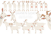 Saanen Goat, an Animal Illustration by pet design shop (Thumbnail 1 of 5)