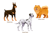Dog Breeds Collection, an Animal Illustration by YG Studio (Thumbnail 5 of 5)
