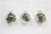 Holistic Lifestyle Bundle (Green), a Health & Medical Photo by Wellness Stock Market (Thumbnail 32 of 37)