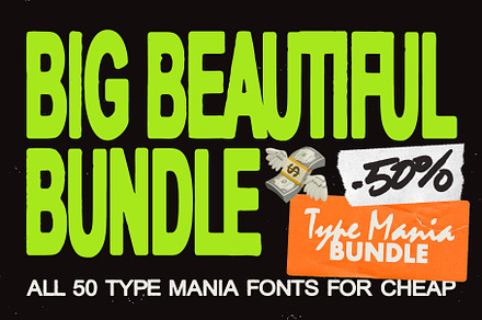 50 TYPE MANIA FONTS // 50% OFF!, a Font by Type Mania
